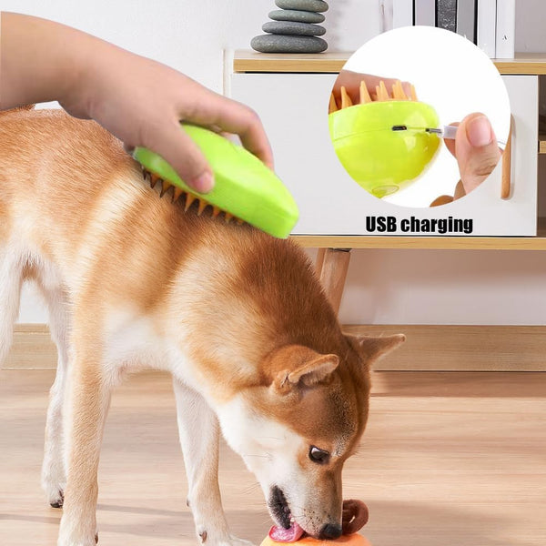 Pet steam brush